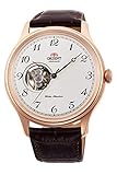 Orient メンズ ステンレススチール 自動腕時計 レザーストラップ ブラウン 22 (モデル:RA-AG0012S10B)