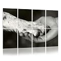 8 Pack Art Acoustic Panels Sound Absorbing Panels, 48x32 Inches Human hand dog paw black white Decorative Acoustic Wall Panels Soundproofing Acoustic Panels