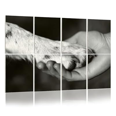8 Pack Art Acoustic Panels Sound Absorbing Panels, 48x32 Inches Human hand dog paw black white Decorative Acoustic Wall Panels Soundproofing Acoustic Panels