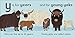 Y is for Yak (The Animal Alphabet Library)