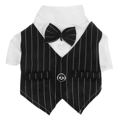 FRCOLOR pEFfBOߑ ybgpX[c Vc ^ubNSTCY p[eB[p qLpRX`[ ƓȑƉK