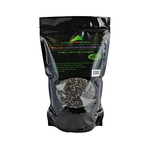 Organic Succulent & Cactus Soil Mix - Premium Pre-Mixed Fast Draining Blend (1.25 Dry Quart)