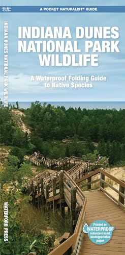 Indiana Dunes National Park Wildlife (Nature Observation North America)