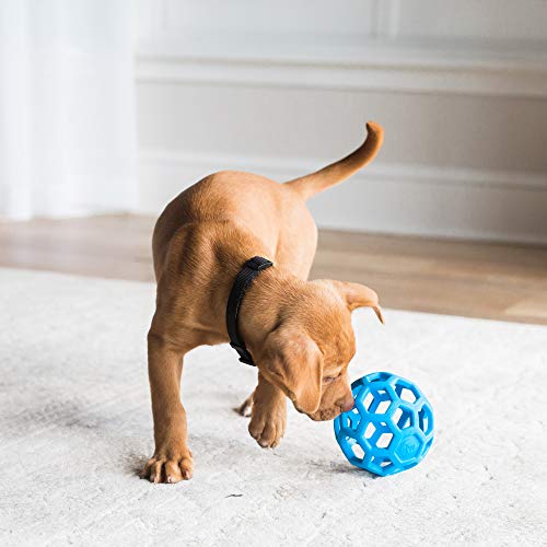 JW Bola Holee Roller Mini Azul Para Cães Para Cães Mini Azul