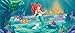 Produktbild Fototapete FTDNh5320 Photomurals Disney Ariel, 202 x 90 cm, 1-teilig