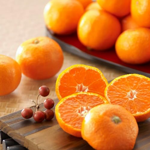 [\tE12{蔭\] a̎RY uhc݂ ƒp (4.8kg 1) It[c c݂ a̎Ruh ϓxPS`PTx ݂ v[g ʕMtg iǗ ①3`6Ǘ 퉷z