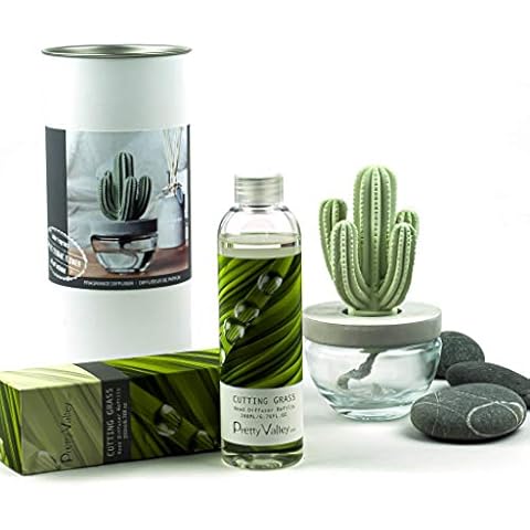 Pretty Valley Home Cactus Gypsum Ceramic Fragrance Diffuser Combo 200ml Cutting Grass Cover