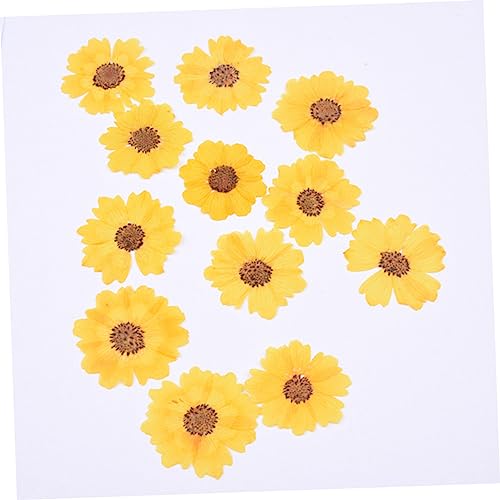 LALAFINA 120 Peças Faça Você Mesmo Em Relevo Acessórios De Artesanato Faça Você Mesmo Flores Secas D