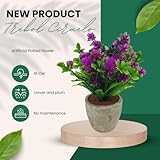 Zoom IMG-1 bonsai pianta artificiale in vaso Zoom IMG-1 bonsai pianta artificiale in vaso