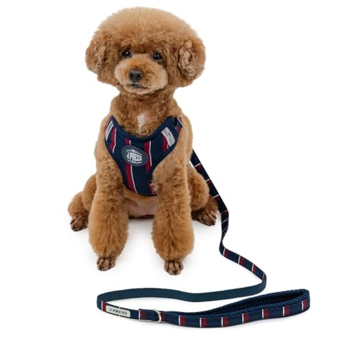 ybgp_CX  n[lX  J.PRESS W^ XgCv n[lX [h  S S ̖h~ ^ yQl S V[Y[ ~j`AViEU[ (`8kg) ybgp_CXcX72XܓWJ2025/10/1