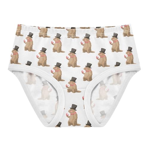 Girls' Underwear Groundhog Cotton Stretch Comfort Toddler Panties