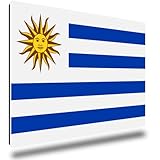 TRIOSK Kühlschrankmagnete Länderflaggen Magnet Flagge Uruguay Länder Reise Souvenir Geschenk für Reiselustige Frauen Männer Weltenbummler Kühlschrank stark eckig groß 85x55 mm