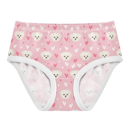 Girls' Underwear Italian Lapdog Cotton Stretch Comfort Toddler Panties