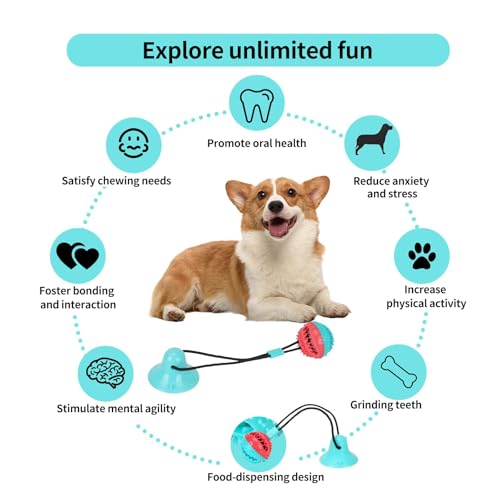 ZERRSAUGNAPF - Hundespielzeug Zerrspielzeug für Hund inkl. Zahnpflege, Hundespielzeug mit Saugnapf & Leckerli-Spender, Selbstbeschäftigung Hund, Für Kleine & Mittelgroße Hunde und Welpen (1PC,STIL-A)