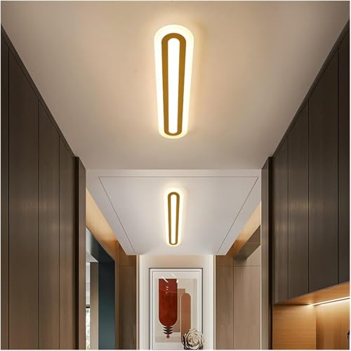 Lámpara de Techo Moderna para Pasillo con Control Remoto, Ideal para Sala de Estar, mesita de Noche, baño y guardarropa (un Solo Color, 120 cm de Largo x 20 cm de Alto).