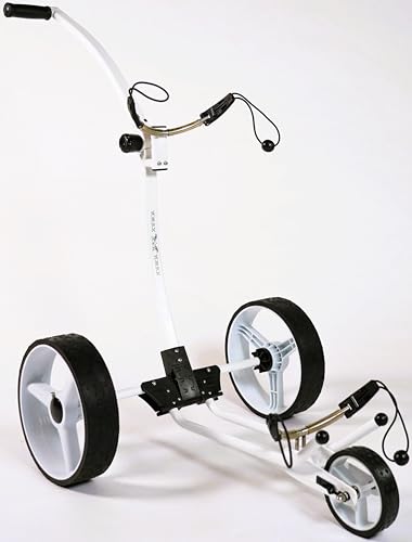Offerta speciale: ora incluso tè per tappeti gratis e set di 3 palline da golf 