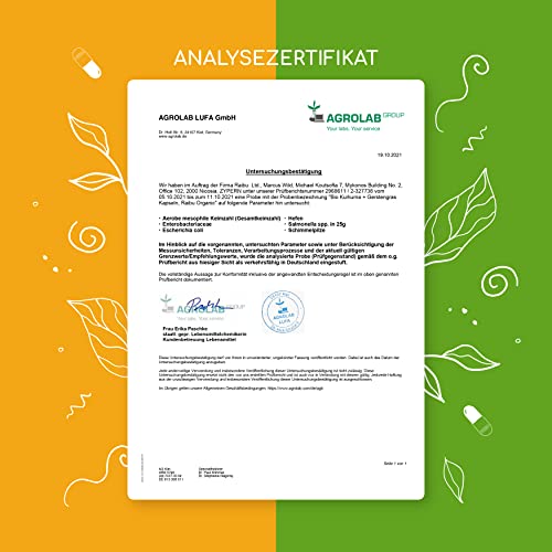 Raibu® Kurkuma Gerstengras Kapseln Bio (270 Kapseln x 700 mg) Vegan - Curcuma und Gerstengras Mix im Verhältnis 2:1… - Image 4