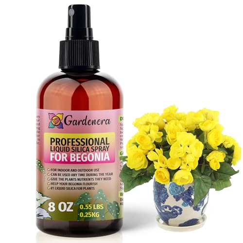 Fertilizante líquido de sílice para plantas begonia 8oz miniatura 1