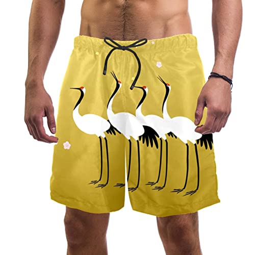 Maillot de bain pour hommes JDEZ à séchage rapide, short de plage oiseaux