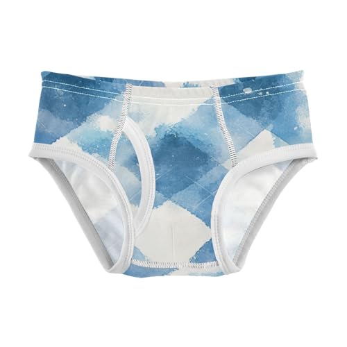 KLL Argyle Buffalo Plaid Tartan Check Scotland Blue White Toddler Boys' Cotton Underwear Cute Undies