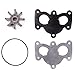 Sierra 18-32888 Water Pump Repair Kit