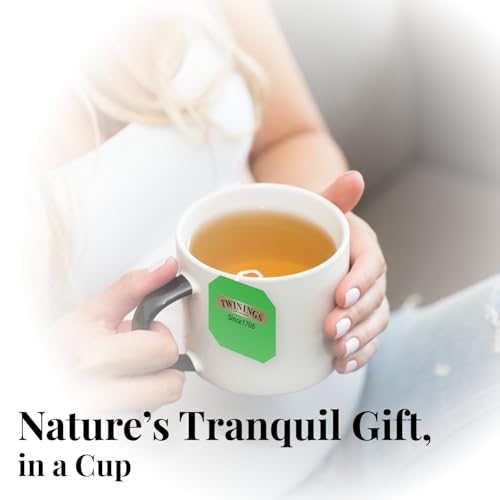 Image of Twinings Pure Green Tea, 100 Tea Bags| Pack of 1| Perfectly Balanced & Refreshing Taste| Handpicked Leaves| Enjoy a Hot Cup of Tea