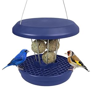 SWISSINNO Vogelfutterhaus zum Aufhängen – Lucerne SMART Birds – Meisenknödelhalter mit Auffangschale – Futterstation Rattensicher – Vogelfutterspender für 7 Meisenknödel – Indigo