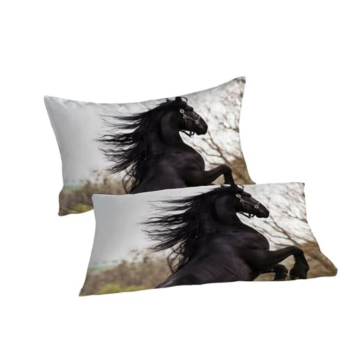 Housse de couette super king poney microfibre anti-plis taies d'oreiller lit garçon 260x220 - 7