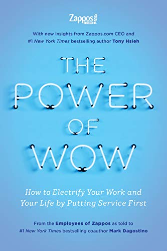 The Power of Wow: How to Electrify Your Work and Your Life by Putting Service First PDF