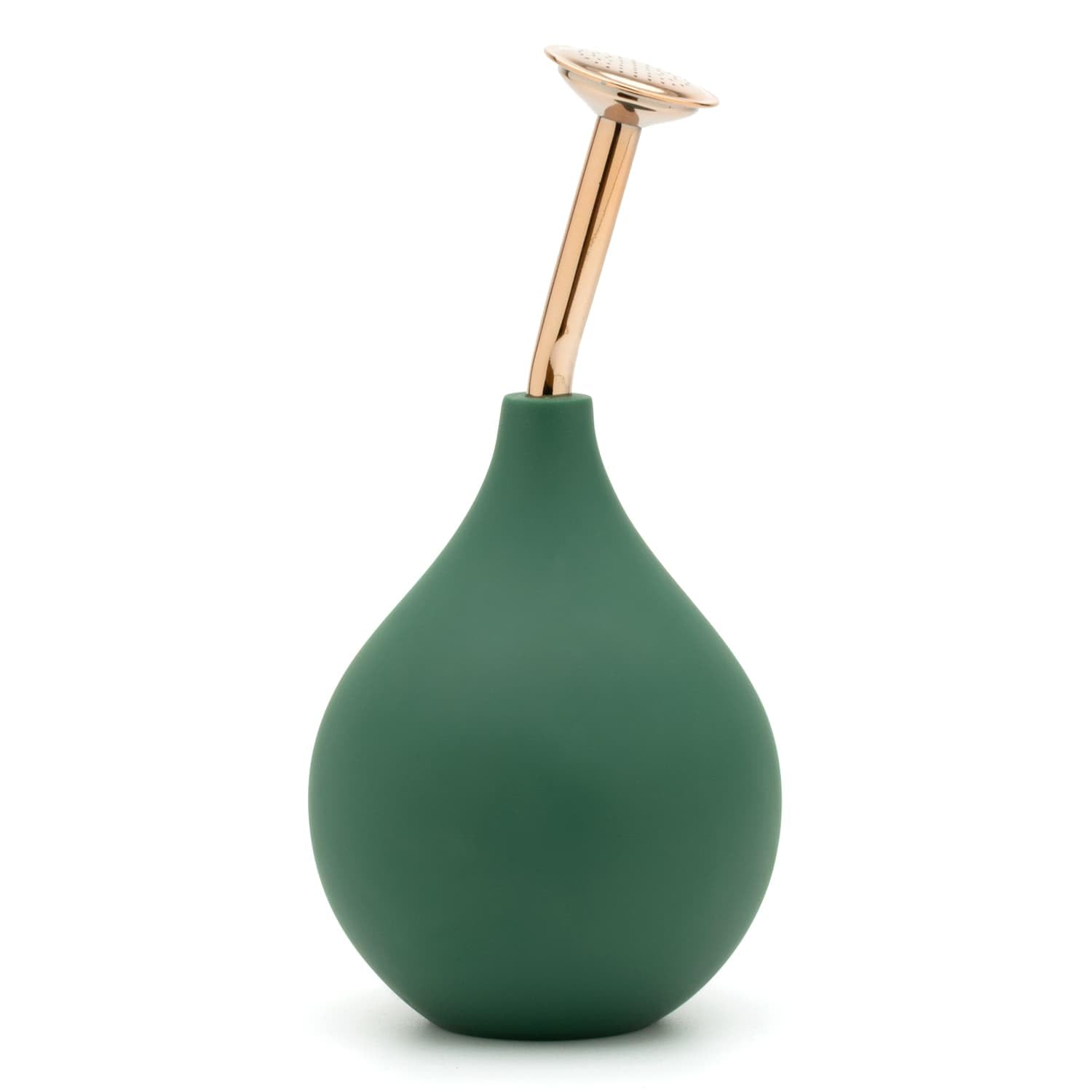 CKB LTD Plant Sprinkler Ball Watering Bottle - Green PVC Stainless Steel Spout - Gentle Flower Sprayer, Indoor Pant Water Mister, Herb Pot Waterer & Houseplant Irrigation Garden Tool (Green, Small)