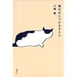 猫の水につかるカエル