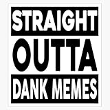 LAD Studio Straight Outta Dank Memes Sticker Vinyl Bumper Sticker Decal Waterproof 5'
