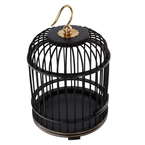 Boîte à sauterelles facile à utiliser pour capturer sans blesser