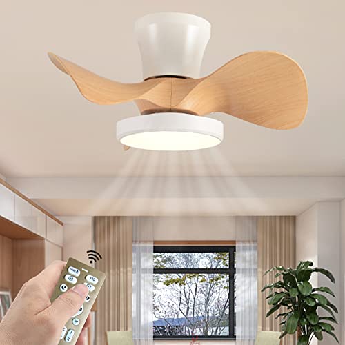 Lámparas de Techo Led con Mando Marca ZYGPH