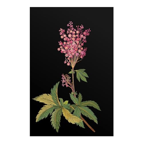 Impression d'art Giclée Fleurs de prairie rouge pour cadre photo A2