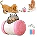 TVMALL Perros Juguetes Pelota Alimentador de Comida Mascota Juguetes interactivos Dispensador de Comida Perro Gato Comida Lenta Columpio Pelota Rompecabezas Divertido Juguete de forrajeo (Rosado)