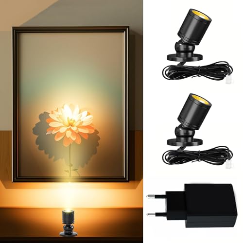 Klein LED Scheinwerfer LED Spotlichter für den Innenbereich Schranklicht Bilderlichter Akzentlichter 360° Schwenkbar Aluminium Mini led spot für Schrank, Flur, Galerien (2 Stück-Warmweiß-Schwarz)