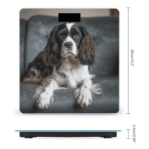 Báscula digital de baño Spaniel On The Sofa de vidrio templado miniatura 2