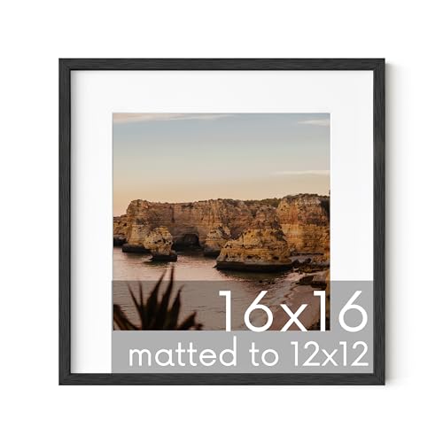 HAUS AND HUES Black Square Frame Set of 1-16x16
