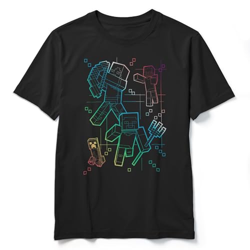 Boys Minecraft Rainbow Characters Lines T-Shirt - Black - Large