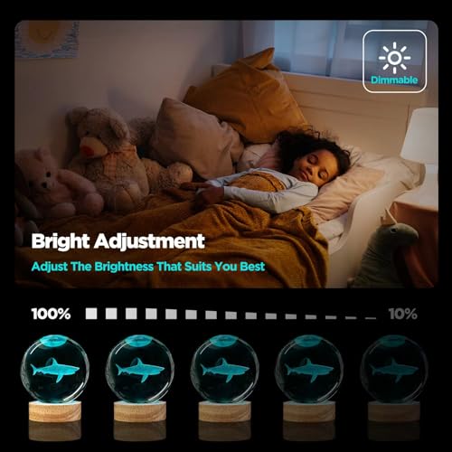 Image of 3D Shark Crystal Ball Night Light with Remote Upgraded 3.15 in Shark Glass Ball Table Lamps with 16 Color Led Wooden Base for Birthday Xmas Cool Shark Figurines Room Decor Gifts for Kids Teen
