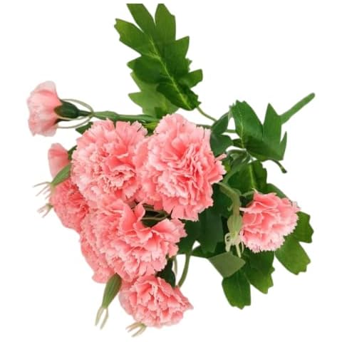 40 Heads Artificial Carnations,Silk Hydrangea Bouquet Decoration Plastic Plant Suitable for Photo Props Family Party Home Decoration Bridal Wedding Bouquet Decoration (Pink) Cover