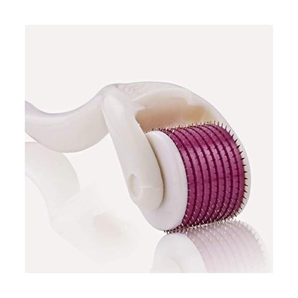 RadBizz Derma Roller and Storage Case - 0.25mm