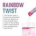 BioSteel Electrolytes Powder Variety Pack - 30 Hydration Packets with Essential Element Electrolytes, 3 Flavors: Rainbow Twist, Blue Raspberry, Mixed Berry Electrolytes Powder Packets