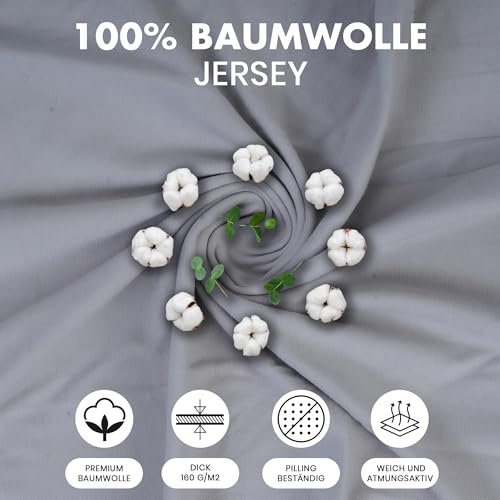 Terra Beds Kissenbezug 50x70 (Set mit 2) - 100% Baumwolle Jersey 160 g/m², Oeko-Tex Zertifiziert - Kopfkissenbezug für Kissen mit Reißverschluss, Weich und Atmungsaktiv - (Silber Grau)