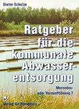 Ratgeber für die kommunale Abwasserentsorgung: Mercedeslösung oder Vernunftslösung