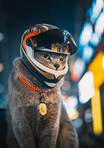 Haustier-Motorradhelm, Vollgesichts-Motorradhelm, Outdoor, Motorrad, Fahrrad, Reithelm, Hut für Katze, Hund, Hunde, Welpen, Kätzchen, Helm, Haustierbedarf, Sammlerstück, kleines Geschenk (Mehrfarbig)