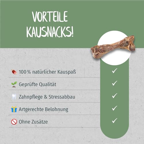 PRIMOX Serrano-Knochen 6 x 300g | Knackiger Kauknochen für Hunde | 100% natürlich | Verträgliches Monoprotein | Ohne Zusätze | Langanhaltenes Kauvergnügen