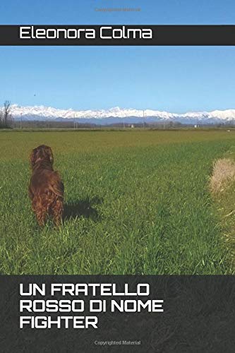 UN FRATELLO ROSSO DI NOME FIGHTER UN FRATELLO ROSSO DI NOME FIGHTER
