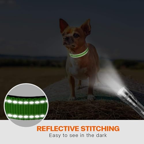 Taglory Hundehalsband, Weich Gepolstertes Neopren Nylon Hunde Halsband für Welpen, Verstellbare und Reflektierend für das Training, Grün